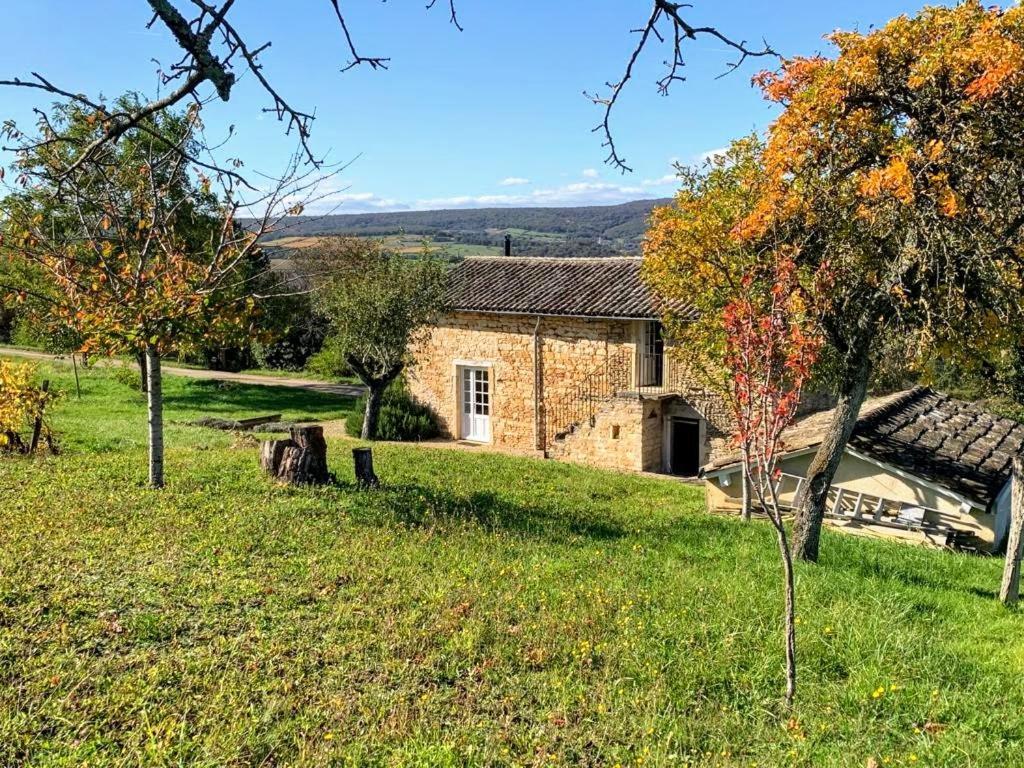 La Cadole du Vigneron, une semaine de sérénité Tournus Extérieur photo