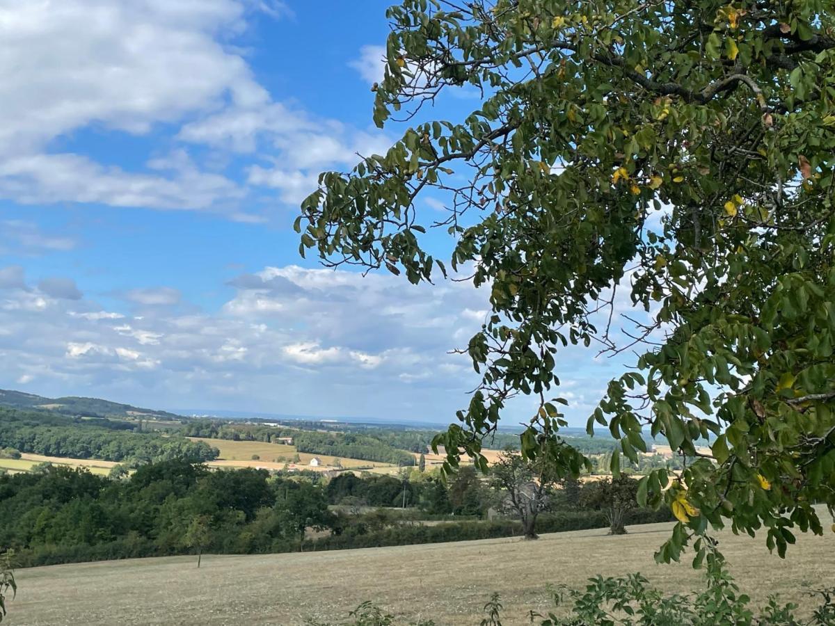 La Cadole du Vigneron, une semaine de sérénité Tournus Extérieur photo