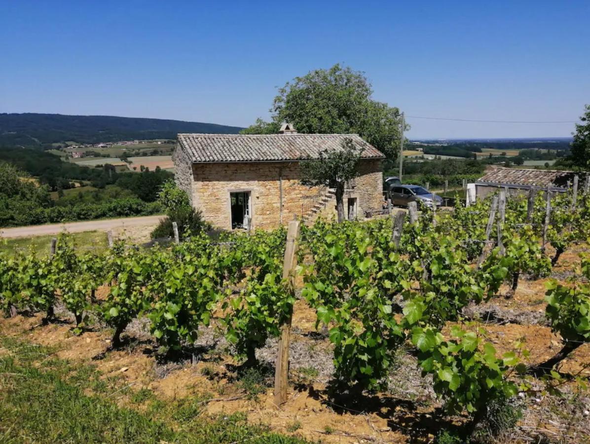 La Cadole du Vigneron, une semaine de sérénité Tournus Extérieur photo