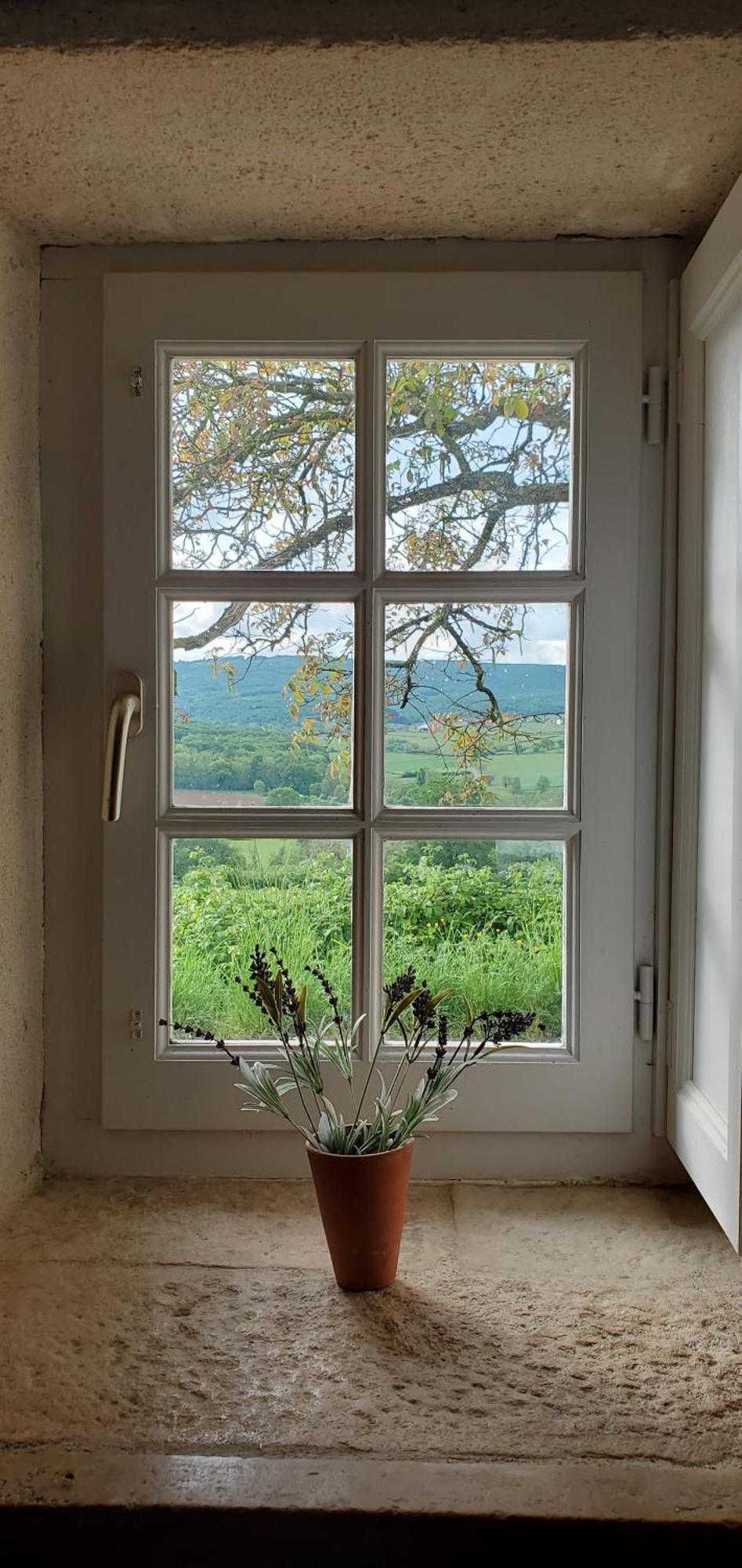 La Cadole du Vigneron, une semaine de sérénité Tournus Extérieur photo