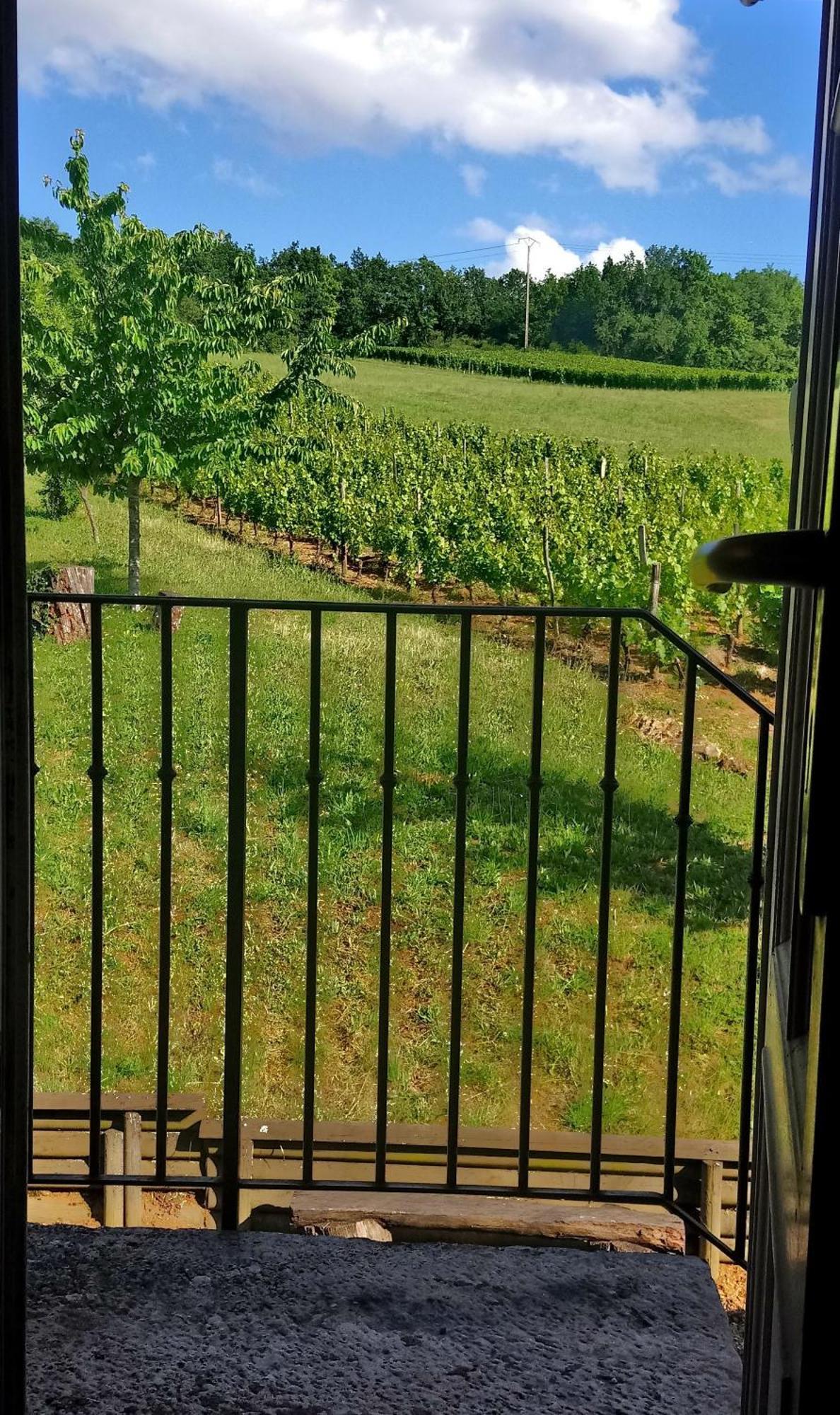 La Cadole du Vigneron, une semaine de sérénité Tournus Extérieur photo