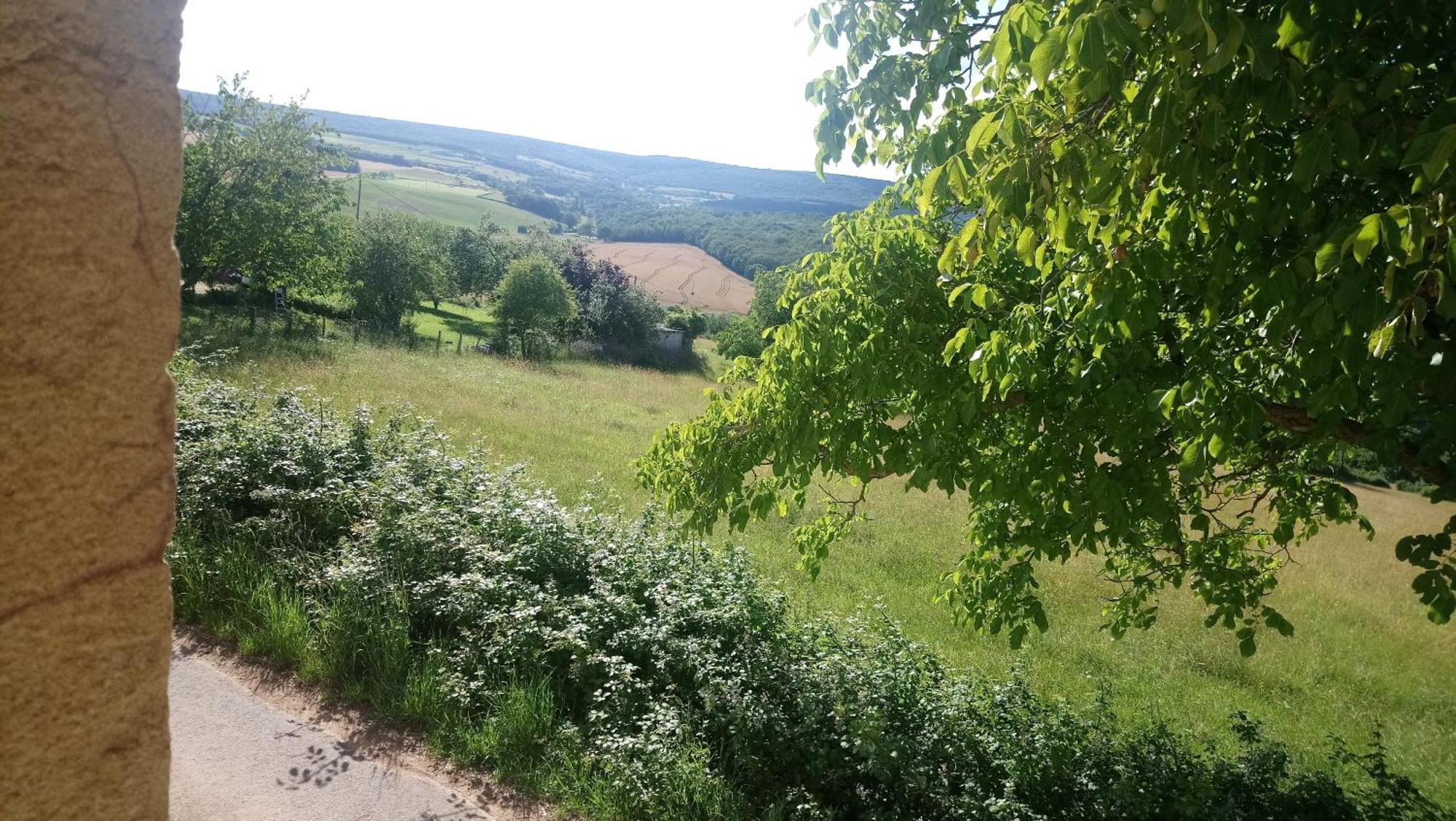La Cadole du Vigneron, une semaine de sérénité Tournus Extérieur photo